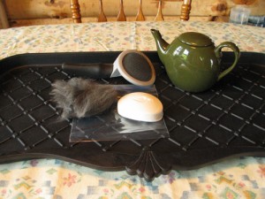 Supplies: Fiber, Soap, Ziploc baggie, Brush, Hot Water, Shoe tray