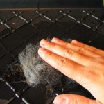 Give baby pats on your soap to help the fibers start to felt. DO NOT RUB! Don't be afraid to pick up your bundle of soap and pat it in your hand for better control.