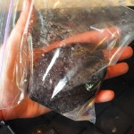 Once your patted soap holds shape put it in a ziploc bag.