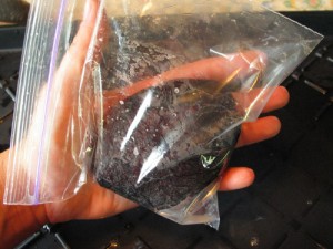 Once your patted soap holds shape put it in a ziploc bag.