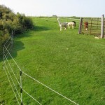 img_5726 Alpaca Rotational Fence