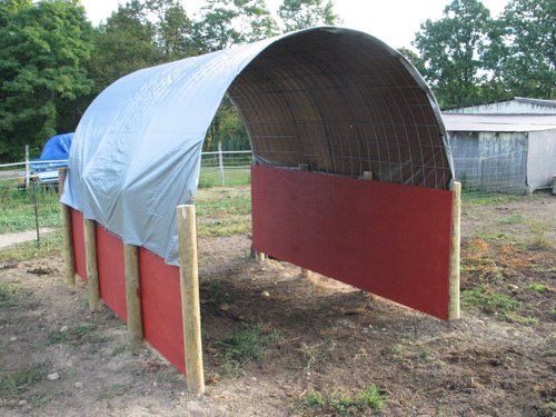 Shelters made with cattle panel/tarp - The Goat Spot - Goat Forum