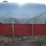 Horse Run In Shelter Shed Barn