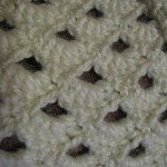 img_5825 Shell_Scarf_2