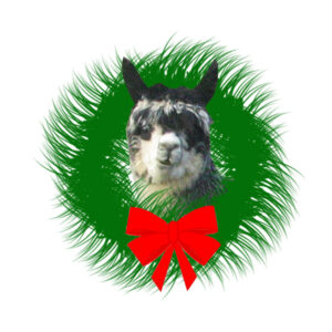 Alpaca_Wreath