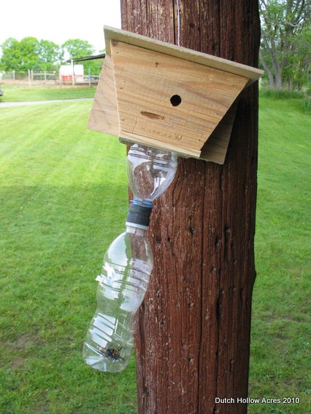 Carpenter Bee Trap