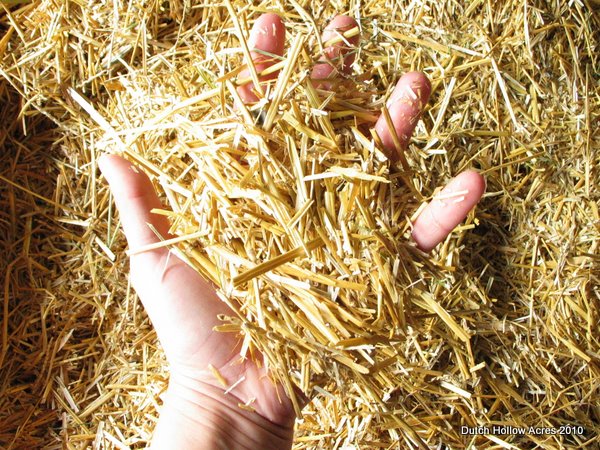 Shredded Straw