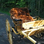 IMG_6448 alpaca-fur-carriage-lap-rug
