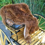 IMG_6450 alpaca-fur-carriage-lap-rug