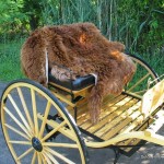 IMG_6452 alpaca-fur-carriage-lap-rug