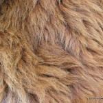 IMG_6457 alpaca-fur-blanket-hide