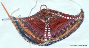 Sock Yarn Shawl