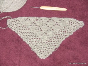 Crochet Alpaca Shawl